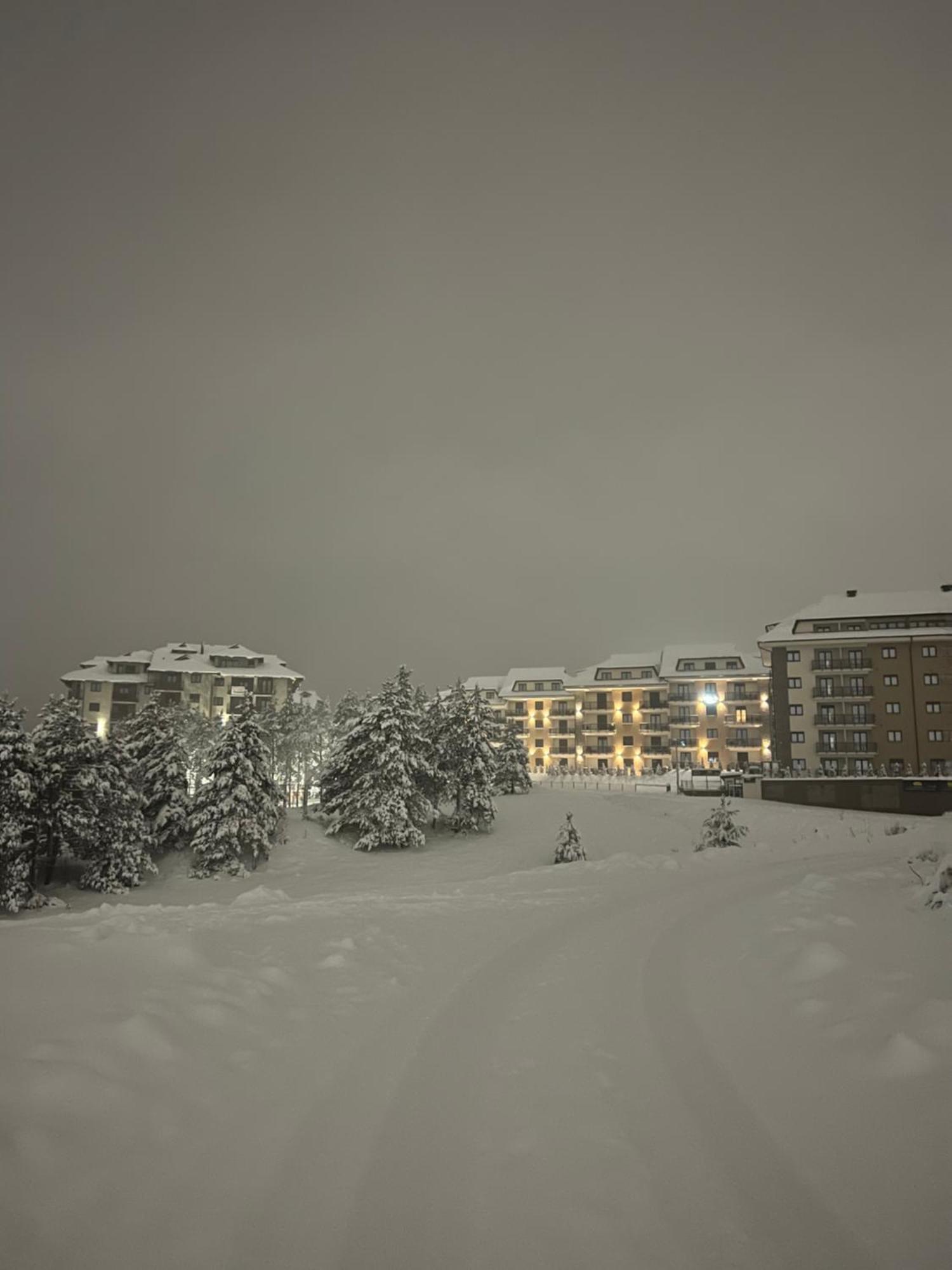 Dream Garden Apartments Zlatibor Extérieur photo